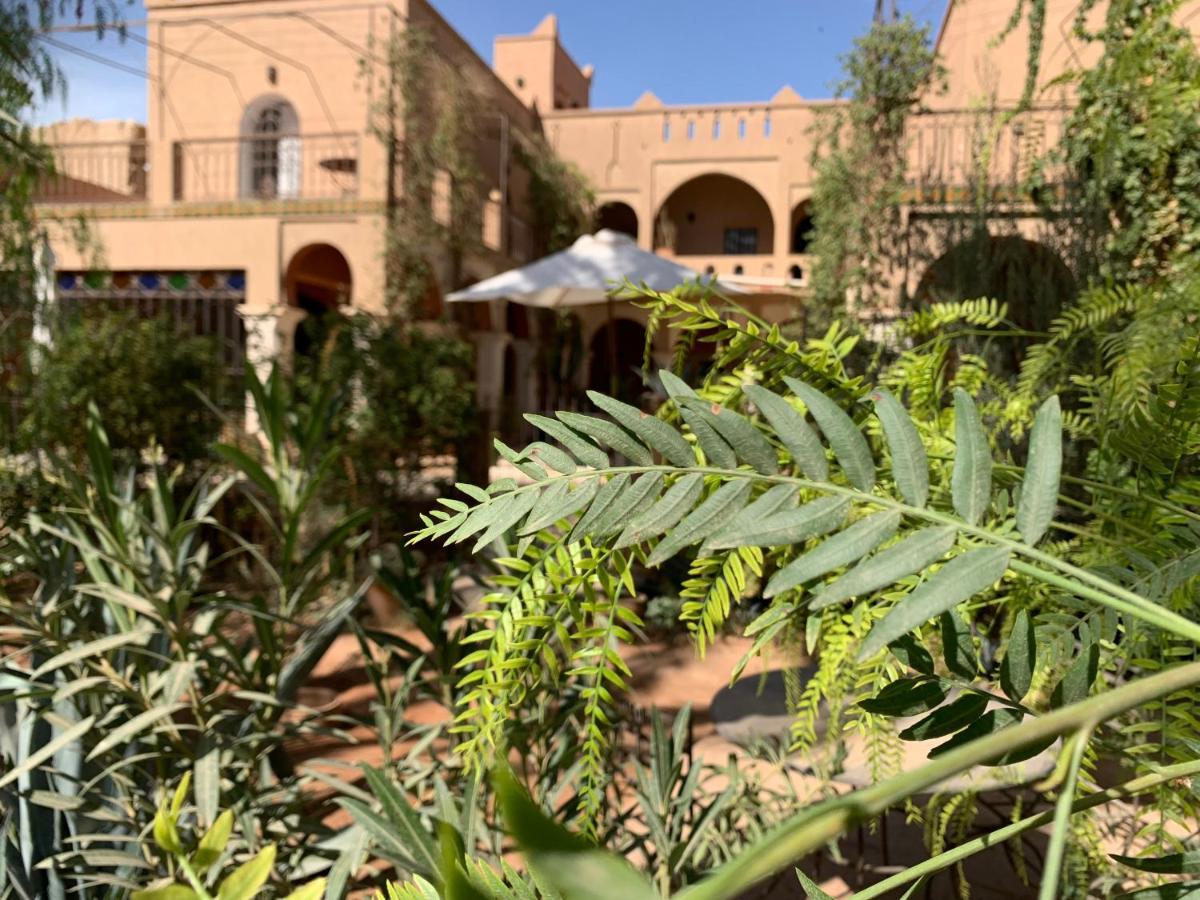 Riad Chant D'Etoiles Tadighoust El Hara Kültér fotó