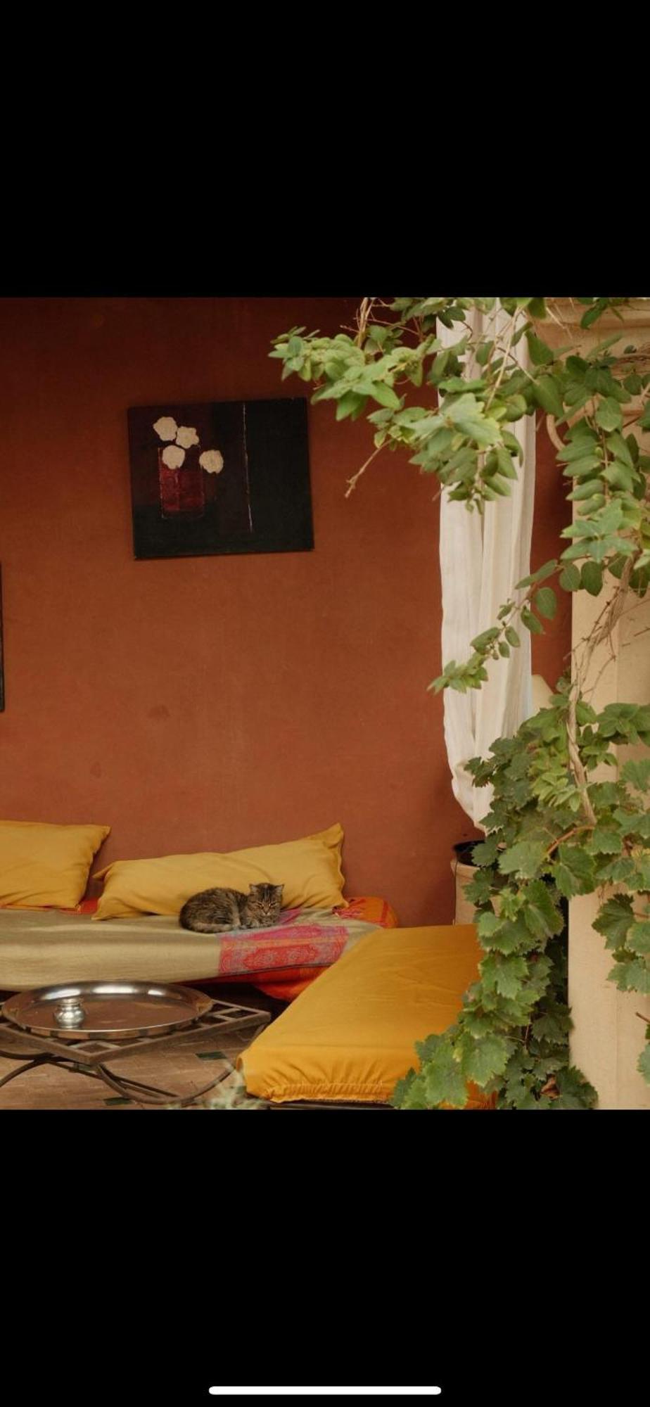 Riad Chant D'Etoiles Tadighoust El Hara Kültér fotó